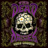 The Dead Daisies - Holy Ground cover art