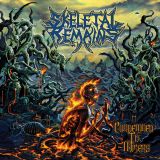 Skeletal Remains - Condemned to Misery cover art