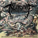 Mvltifission - Decomposition in the Painful Metamorphosis cover art
