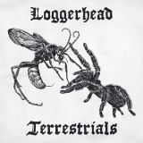 Loggerhead - Terrestrials cover art