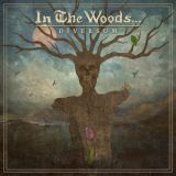 In the Woods... - Diversum cover art