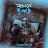 Congenital Anomalies - Systematic Violence cover art