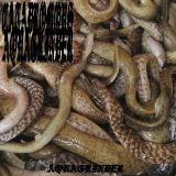 Catadromous Aquagrinder - Aquagrinder cover art