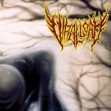 Viral Load - Practitioners of Perversion cover art