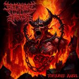 Decaying Martyr - Tortured Angel cover art