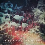 A Ghost of Flare - ENDLESS DEMISE cover art