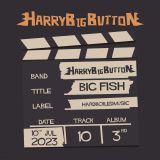 HarryBigButton - Big Fish cover art
