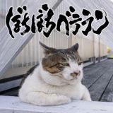 Uchikubigokumon-Doukoukai - ぼちぼちベテラン cover art