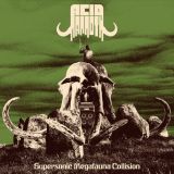 Acid Mammoth - Supersonic Megafuana Collision cover art