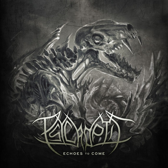 Psycroptic - Echoes to Come [Single] | Metal Kingdom