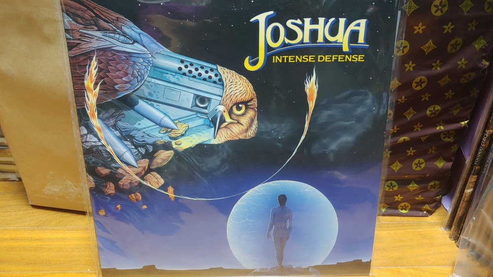 Joshua - Intense Defense Vinyl Photo