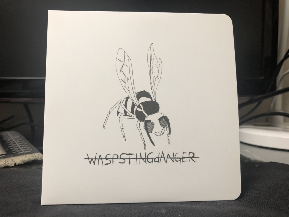 Wasp sting danger - Wasp sting danger CD Photo