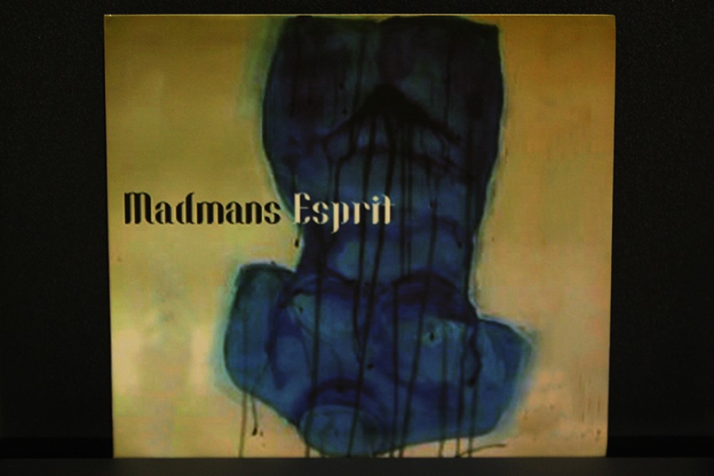 Madmans Esprit - I Just Want to Sex with You CD Photo