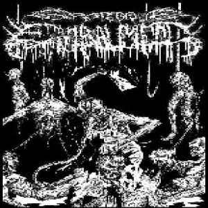 Grotesque Embalment - Chronic Decomposition
