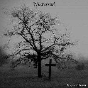 Wintersad - ...in my last dreams