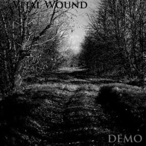 Vital Wound - Demo