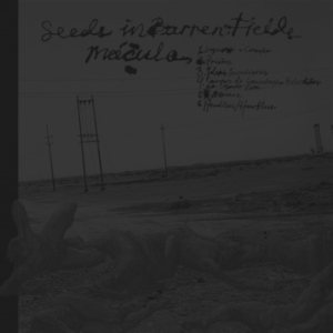 Mácula / Seeds in Barren Fields - Mácula / Seeds in Barren Fields