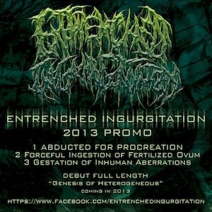 Entrenched Ingurgitation - Promo 2013
