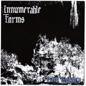 Innumerable Forms - Dark Worship