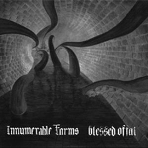 Innumerable Forms / Blessed Offal - Innumerable Forms / Blessed Offal