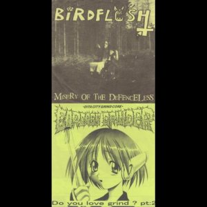 Birdflesh - Misery of the Defenceless / Do You Love Grind? pt: 2