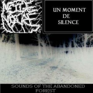 Un Moment De Silence - Sounds of the Abandoned Forest