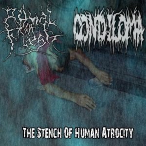 Condiloma - The Stench of Human Atrocity