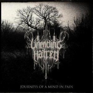 Unending Hatred - Journeys of a Mind in Pain