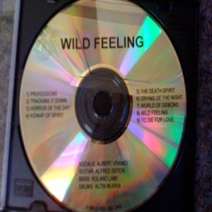 Wild Feeling - Wild Feeling
