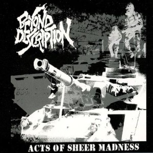 Beyond Description - Acts of Sheer Madness