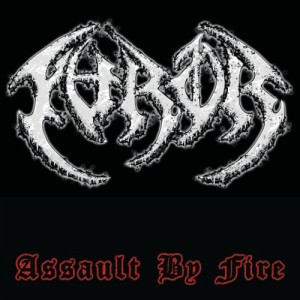 The Furor - Assault by Fire