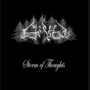 Widergeist - Storm of Thoughts