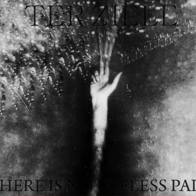 Ter Ziele - There is no Useless Pain