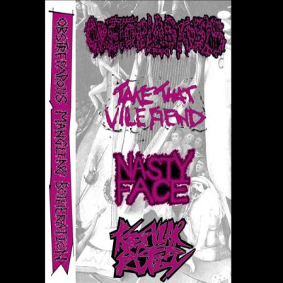 Nasty Face - Obstreparous Mangling Botheration
