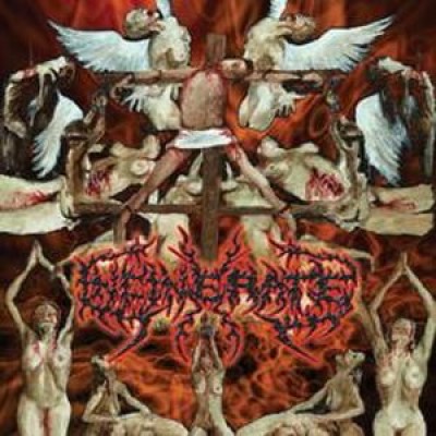 Incinerate - Dissecting the Angels