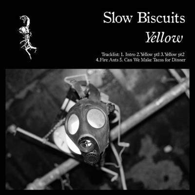 Slow Biscuits - Yellow