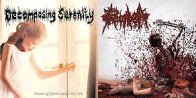 Decomposing Serenity - Decaying Priest Under My Bed / Decay, Vile & Torment
