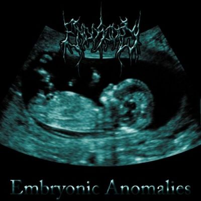Endoscopy - Embryonic Anomalies
