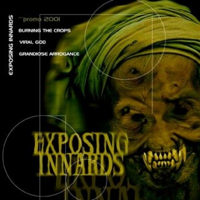 Exposing Innards - Promo 2001