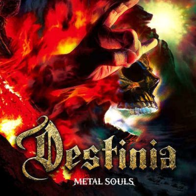 Nozomu Wakai's Destinia - Metal Souls