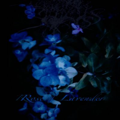 Sadness - Rose / Lavender