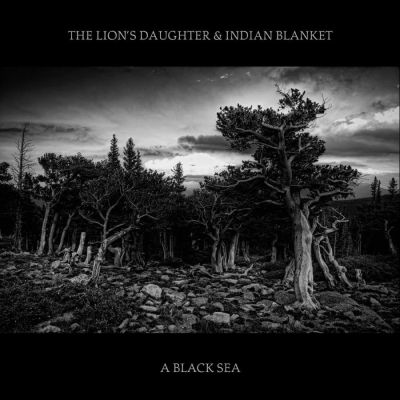 The Lion's Daughter & Indian Blanket - A Black Sea
