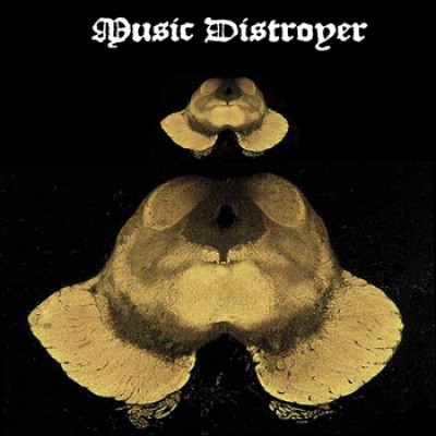 Music Distroyer - Superior Peduncles of the Cerebellum