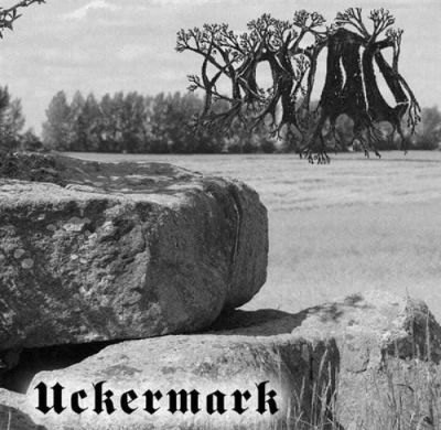 Branstock - Uckermark
