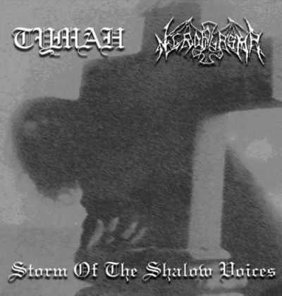 Necroplasma / Туман - Storm of the Shallow Voices