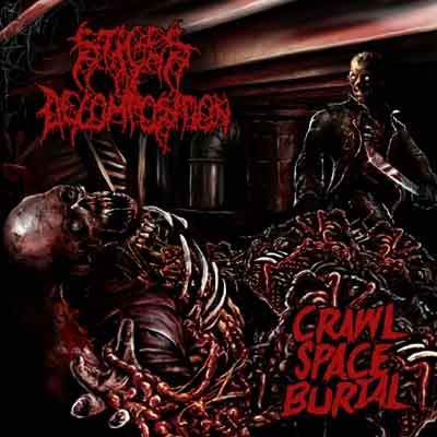 Stages of Decomposition - Crawl Space Burial
