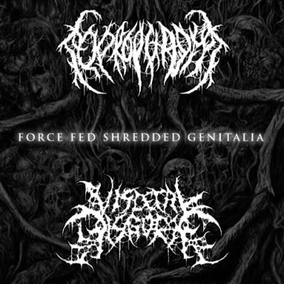 Coprophagia - Force Fed Shredded Genitalia (Visceral Disgorge cover)