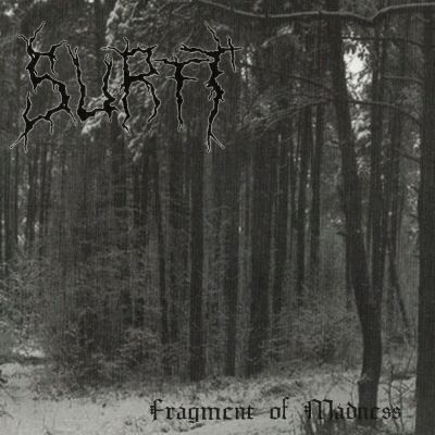 Surtt - Fragment Of Madness