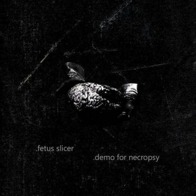 Fetus Slicer - Demo for Necropsy