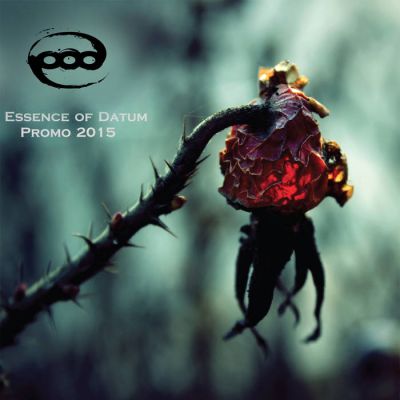 Essence of Datum - Promo 2015